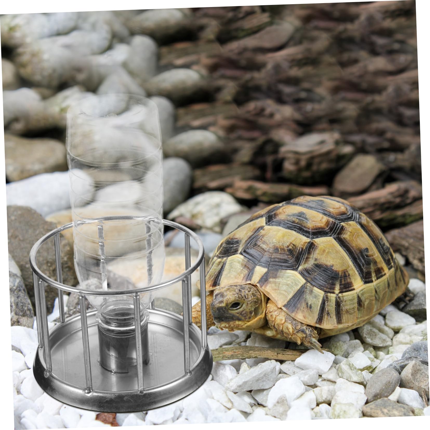 4piezas Mini Comedero De Agua para Reptiles Inoxidable Plato para Tortugas y Terrario para Pequeñas