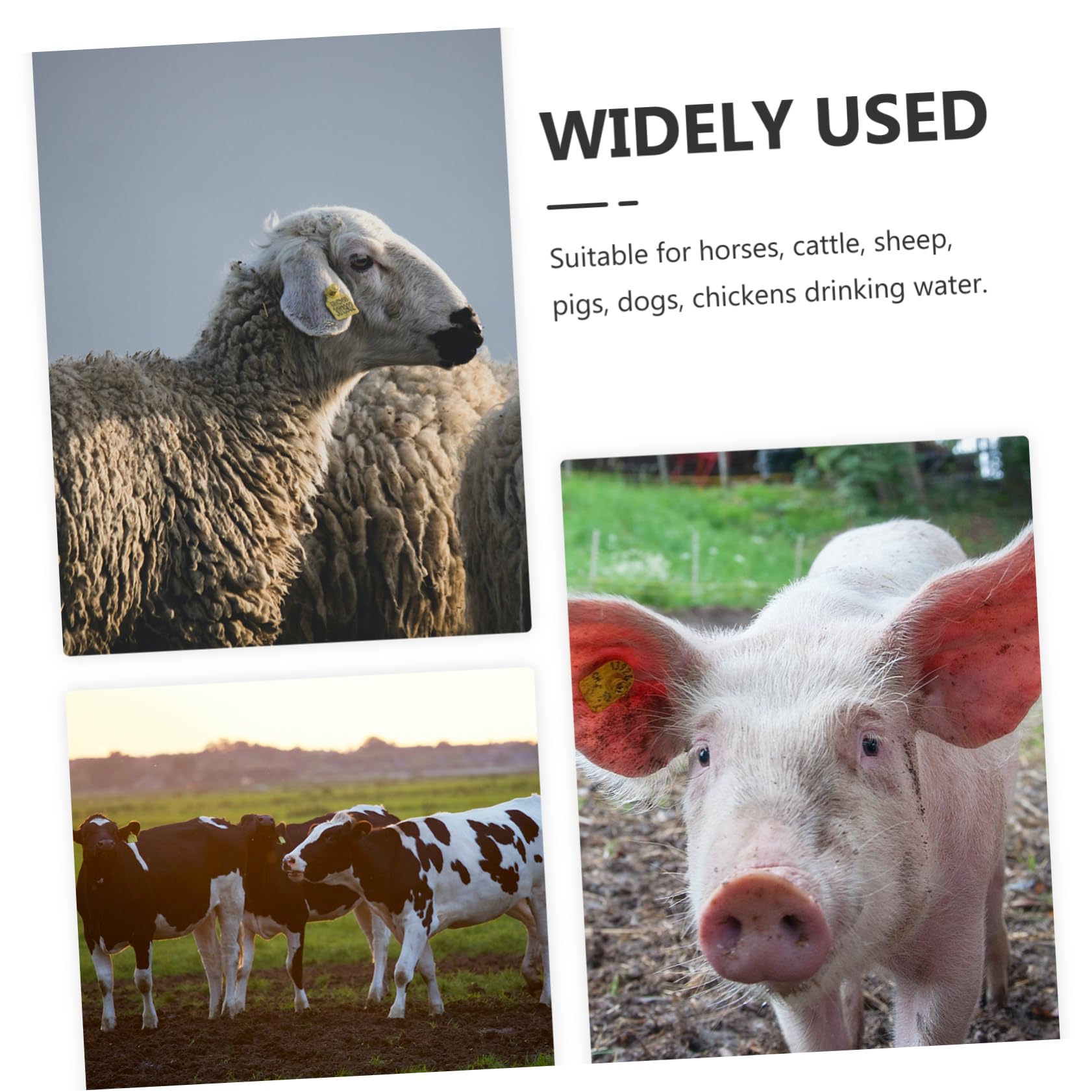 Bebedero Automático para Ovejas y Vacas de Granja, Capacidad Grande, Acero Inoxidable Superficie Lisa y Borde Redondo para Uso en Granja