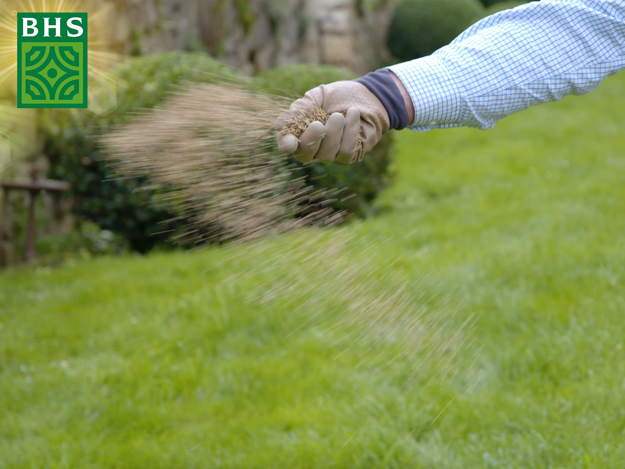Gazon Rustique BHS GRU1 1kg 40m² Résistant Robuste Tous Terrains Climats