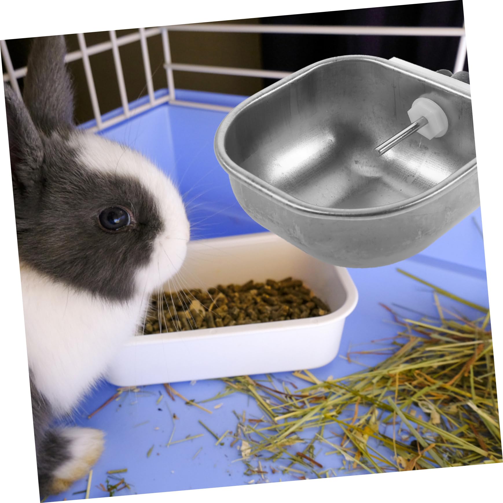 Yardwe 6 Pz Bevitore di conigli mangiatoia per conigli di abbeveraggio per pollame coniglio bunny distributore d'acqua per animali domestici ciotole per bere Acciaio inossidabile