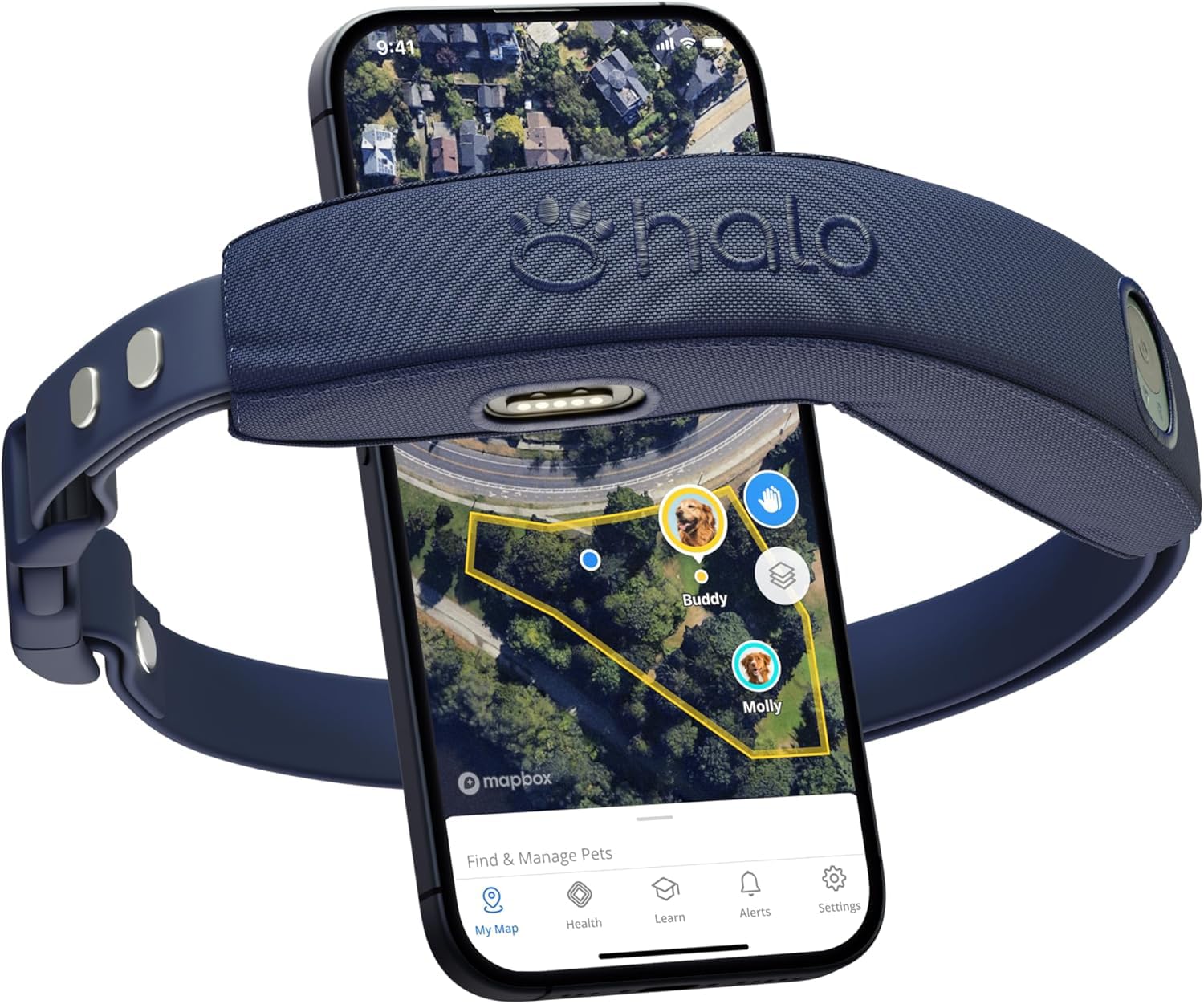 Halo Collar 4