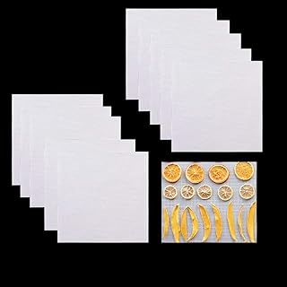 Rolin Roly 10pcs Vapeur Silicone Mat Pad Réutilisable Tapis de Vapeur en Non-Stick Mesh per Déshydratation des Fruit la Vapeur Panier Cuisson Dim Sum