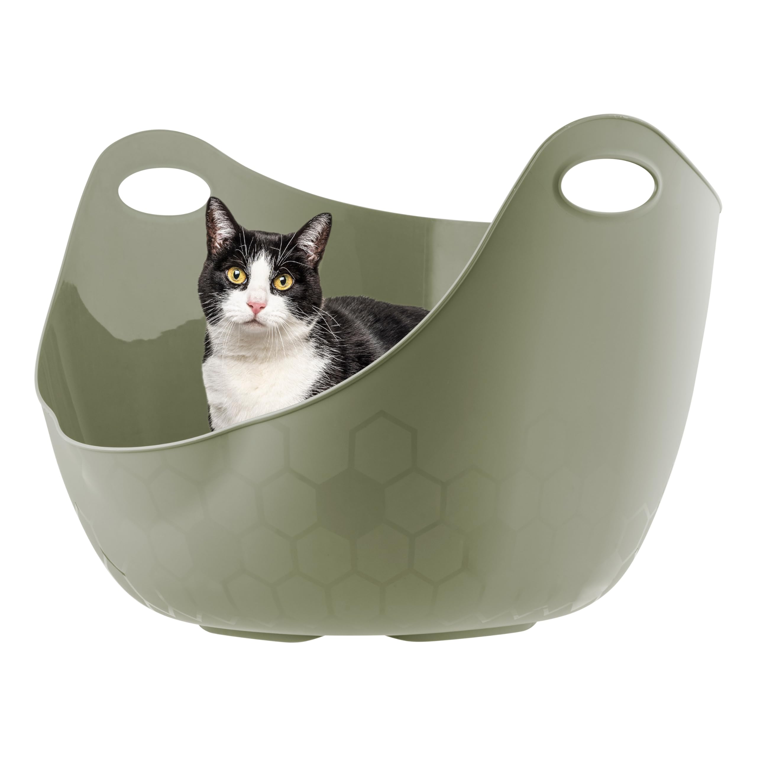 IRIS USA Cat Litter Box with High Walls and Handles, Made with Flexible Plastic, Sage Green