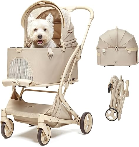 ANA JCBカードZERO