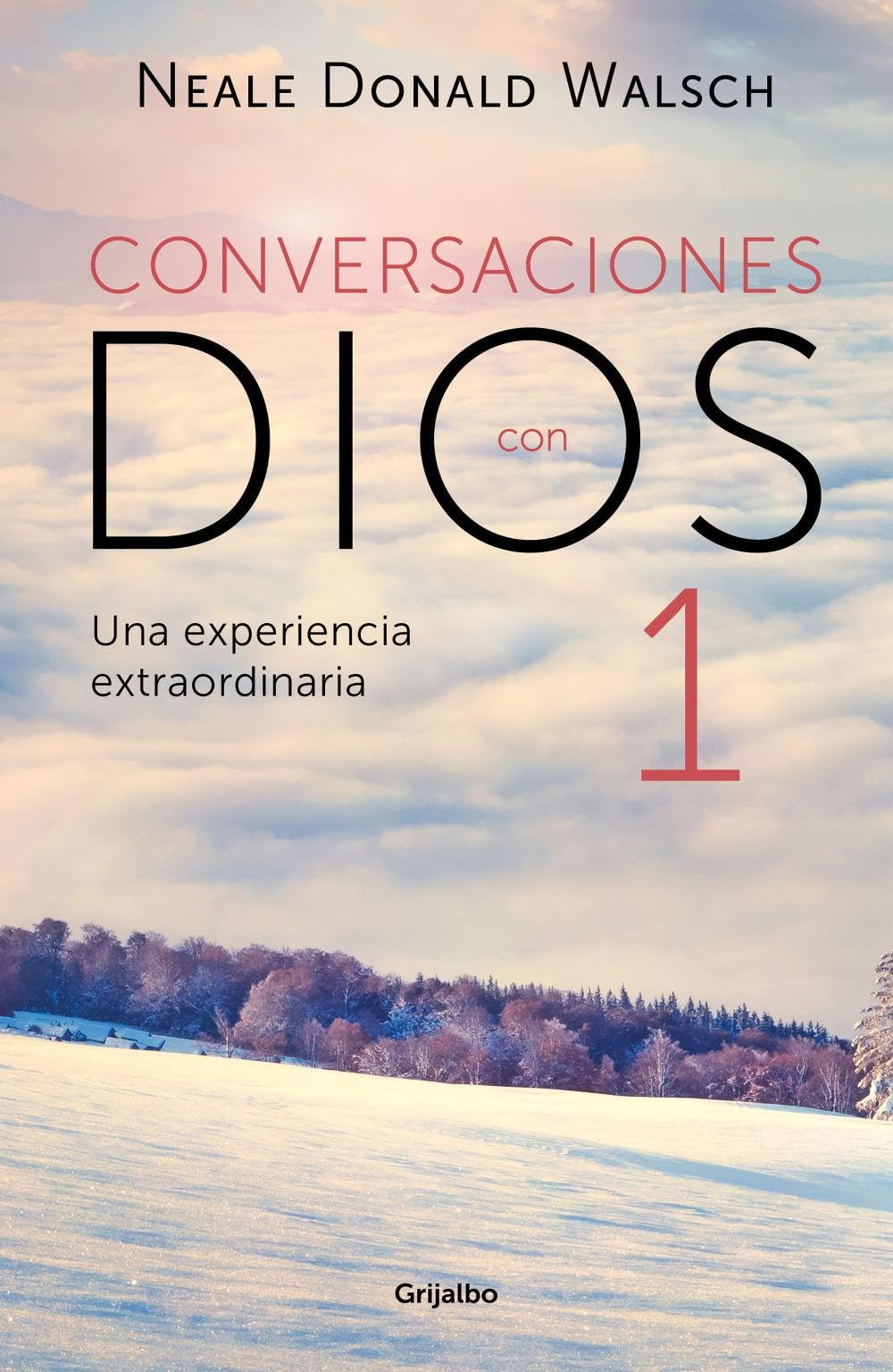 Una experiencia extraordinaria (Conversaciones con Dios 1): Una experiencia extraordinaria (Crecimiento personal)