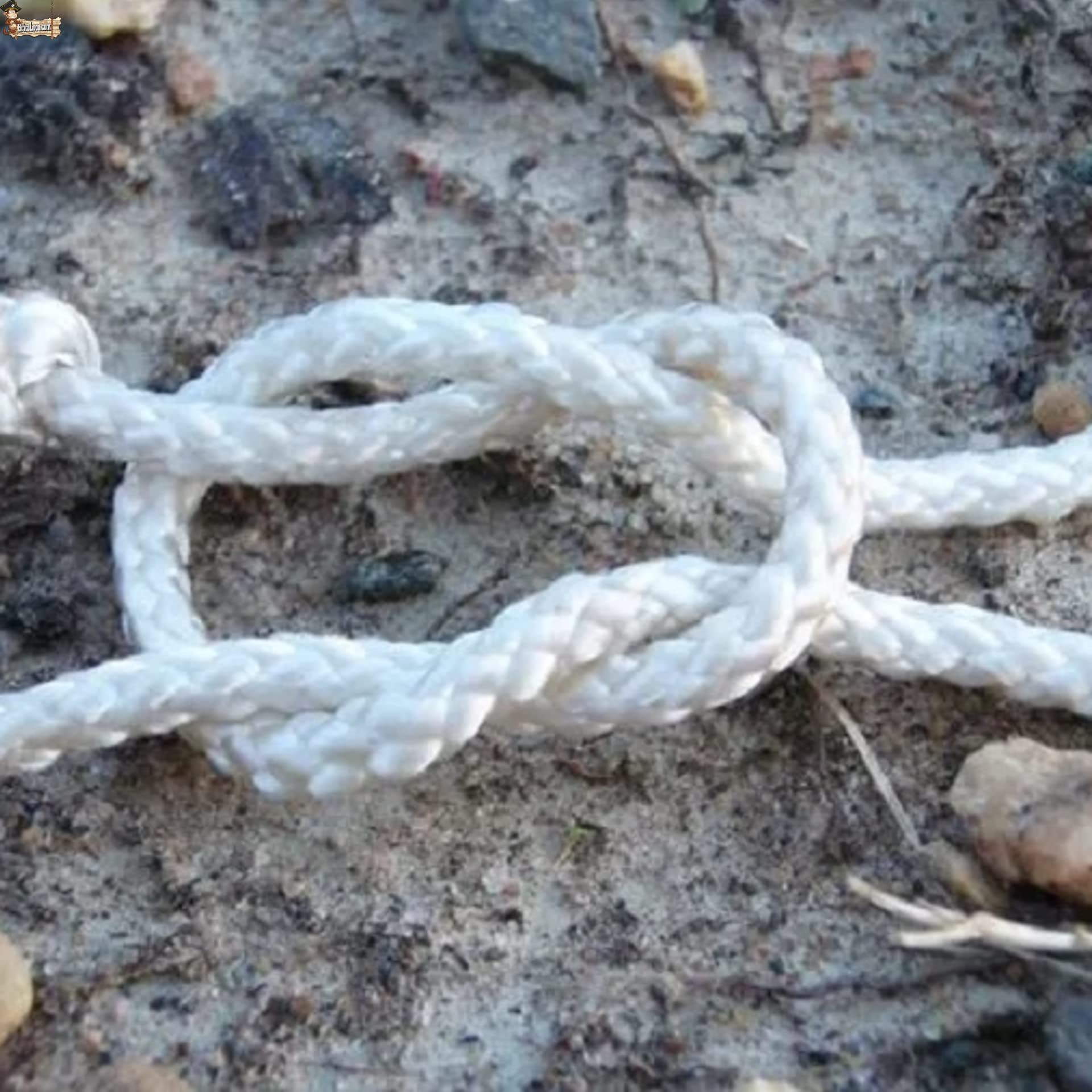 BricoLoco.com Cuerda driza Nylon Trenzada. SOGA Fibra sintética de Nylon. Cabo Amarre, Agricultura, ganadería, construcción, decoración, Crossfit. Alta Resistencia. (50, Ø 8 mm.)