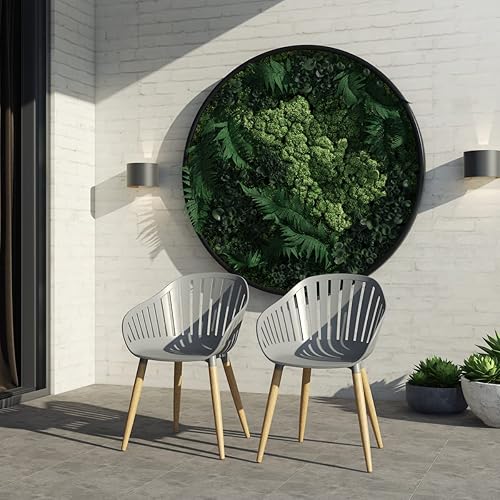 Tiendaia Villanova - Juego de sillas de 2 piezas, madera de eucalipto, ideal para exteriores, acabado gris teca oscura