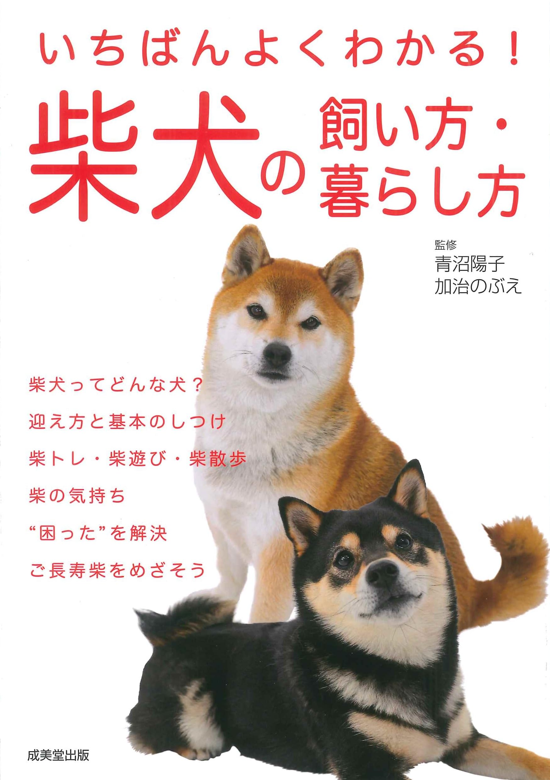 【中古】 知ってほしい正しいイヌの飼い方/保育社/富沢勝 中古】 知ってほしい正しいイヌの飼い方/保育社/富沢勝 中古