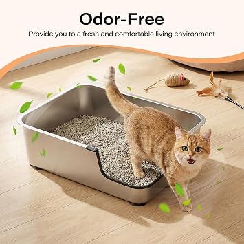 Stainless Steel Cat Litter Box, 19.5 L x 13.6 W x 6 H | Low Entry for Senior, Injured Kitty/Kitten or Slim Small-Size Adult Cats, Anti-Slip Non-Stick, No Odor, Easy to Clean