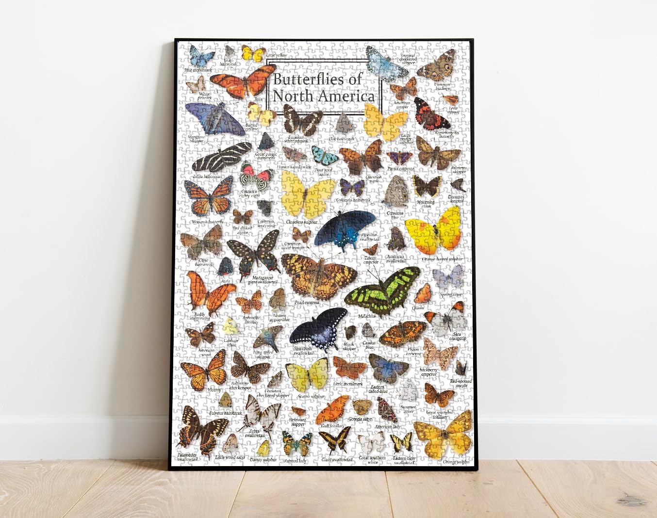 Colorful Butterfly Puzzle for Adult 1000 Piece, Animal Puzzles for Adults 1000 Pieces and Up, Butterflies Jigsaw Puzzle Collage for Adult