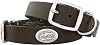 ZEP-PRO Florida Gators Brown Leather Concho Dog Collar, Large