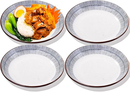 Juego de 4 platos japoneses, platos llanos de porcelana, platos de cerámica para ensalada, pasta, aperitivo, postre, platos para Acción de Gracias y