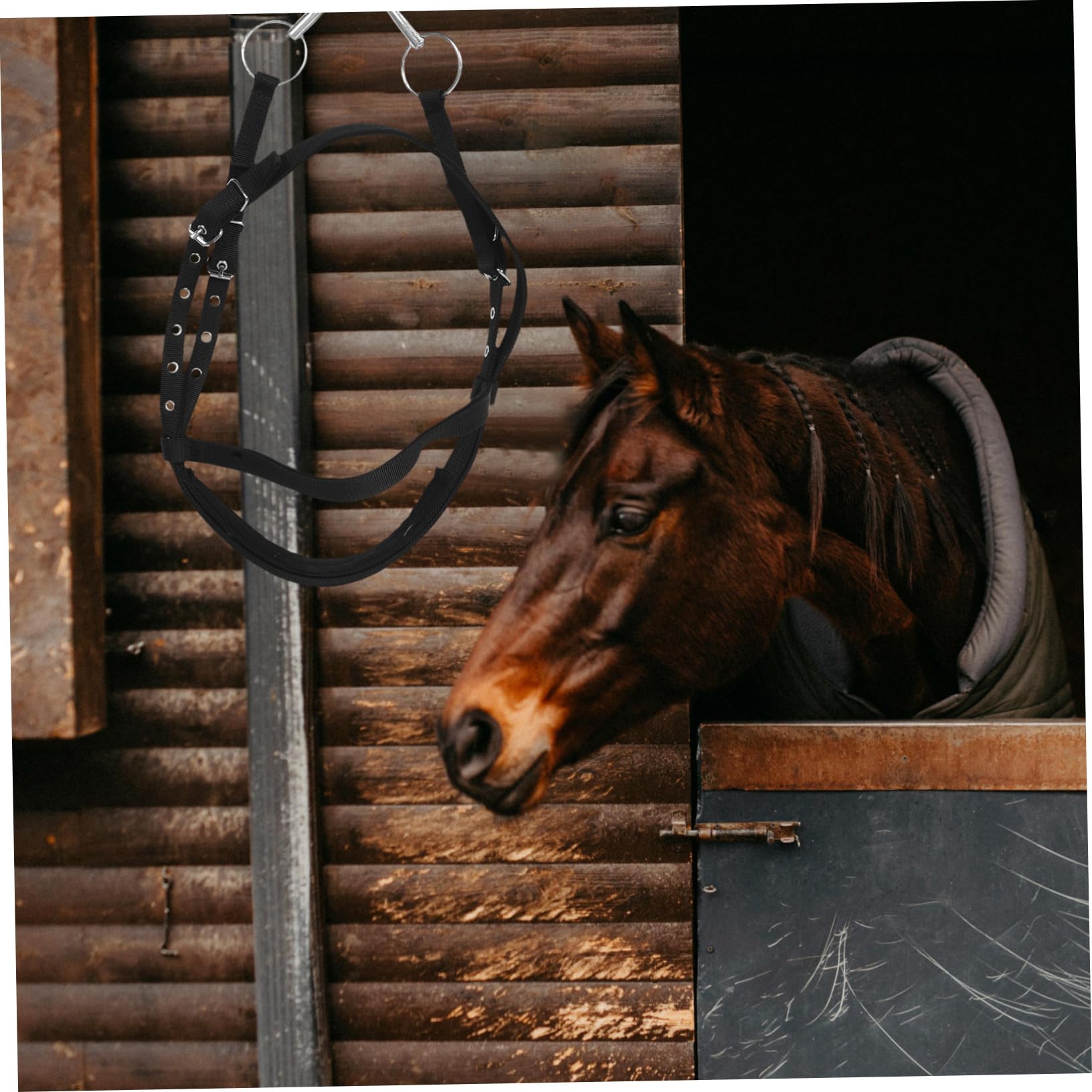 De Nylon Resistente para Entrenamiento Ecuestre Diseño Cómodo Mordida para Montar y Actividades Múltiples para Caballos Altura