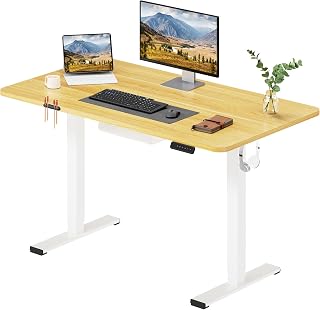 SANODESK escritorio elevable electrico 120cm