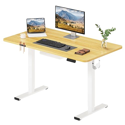 SANODESK Bureau Assis Debout Électrique 120x60cm avec Plateau Complet, Bureau