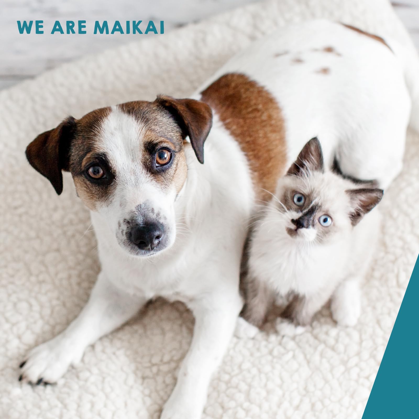 MAIKAI Plaque Remover 150 g – Polvos para Mal Aliento Limpiador Dental para Perros y Gatos Natural – Elimina Sarro Previene Placa Dental + Higiene Bucal Diaria – Algas Antisarro