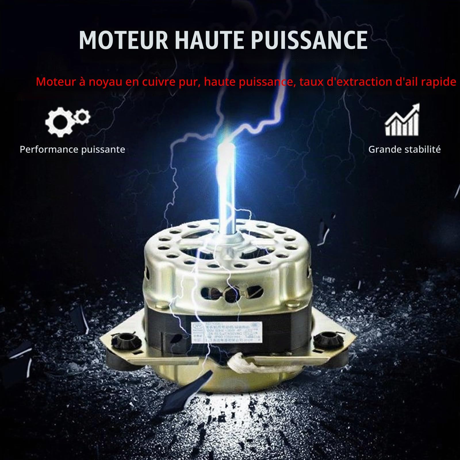 Éplucheur d'ail électrique Professionnel 200 W, capacité de 30 kg/h, avec séparateur d'ail intégré. Découvrez Les Innovations culinaires