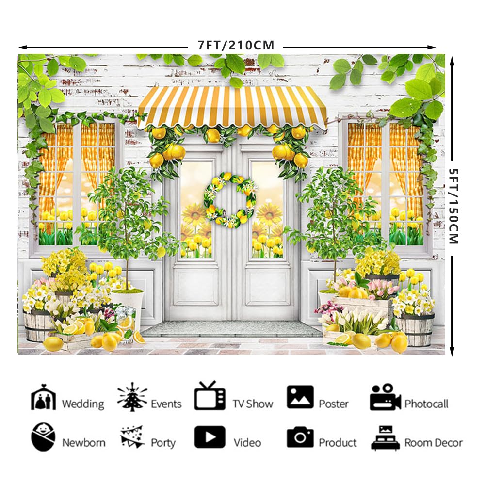 Mocsicka Photography Background Summer Beach Shop Orange Decor Kids Birthday Party Cake Smash Baby Shower Backdrop Photo Studio - 44 - View #5