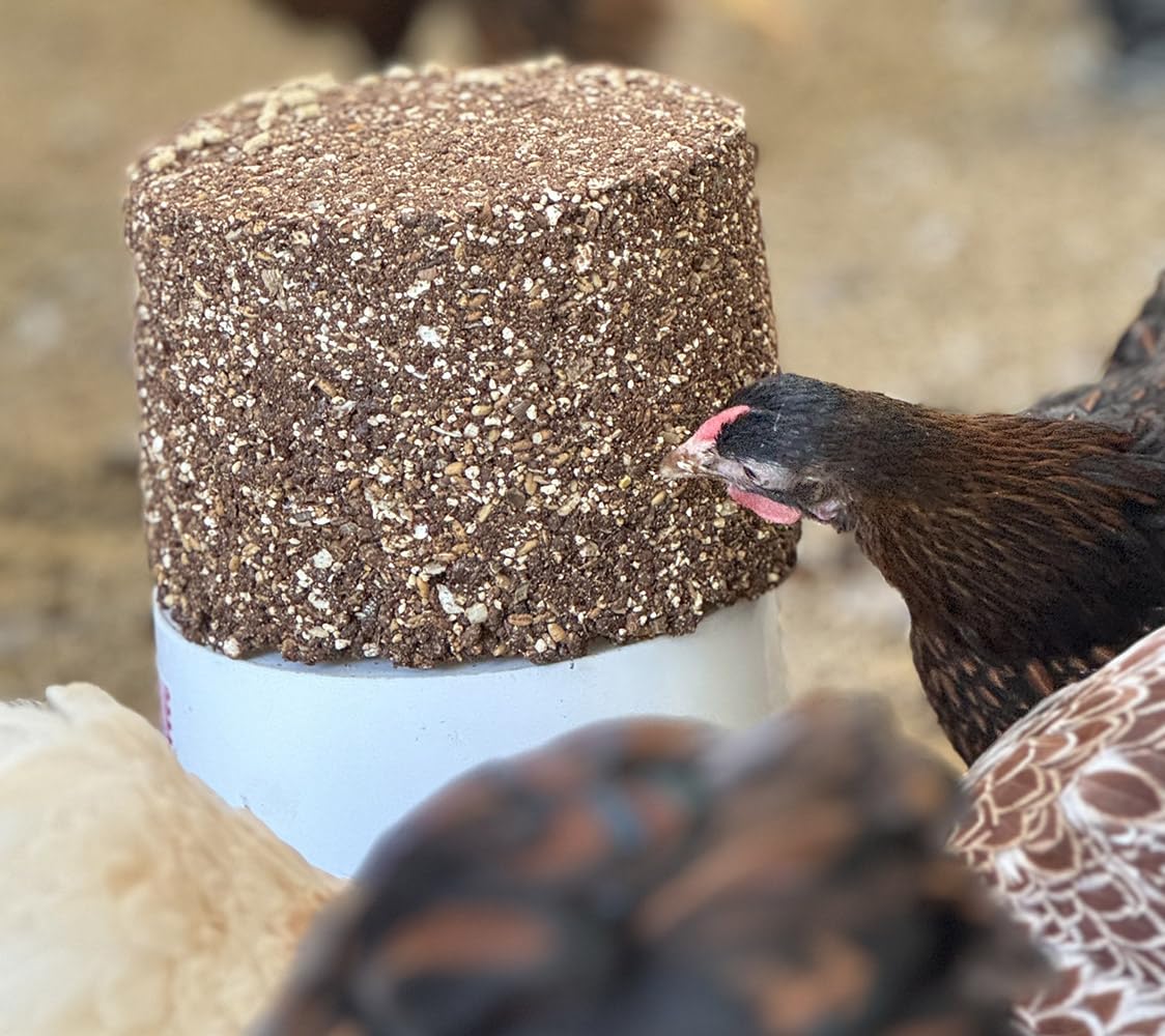 Poultry Block - Bloque de Alimento para Gallinas Rico en Calcio, Vitaminas y Cereales para el Bienestar Animal y Producción Optima.
