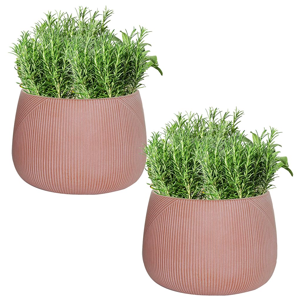 Dibor Fibre Clay Plant Pots Set of 2 Outdoor 29cm Modern Rippled Finish Flower Pot Planters Patio Doorstep Porch Tree Shrub Topiary Bush Entryway Plant Pot Clay Planters (Terracotta, Small 8.5L)