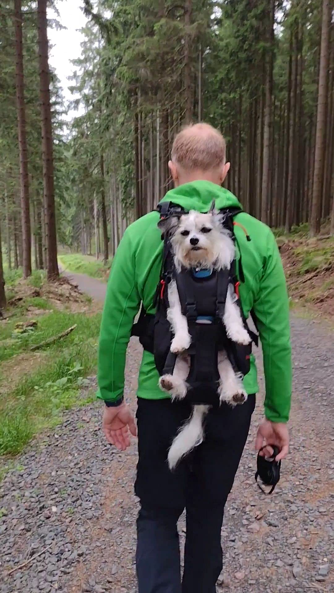 Dog Carrier - Zaino per cani da 9 a 18 kg