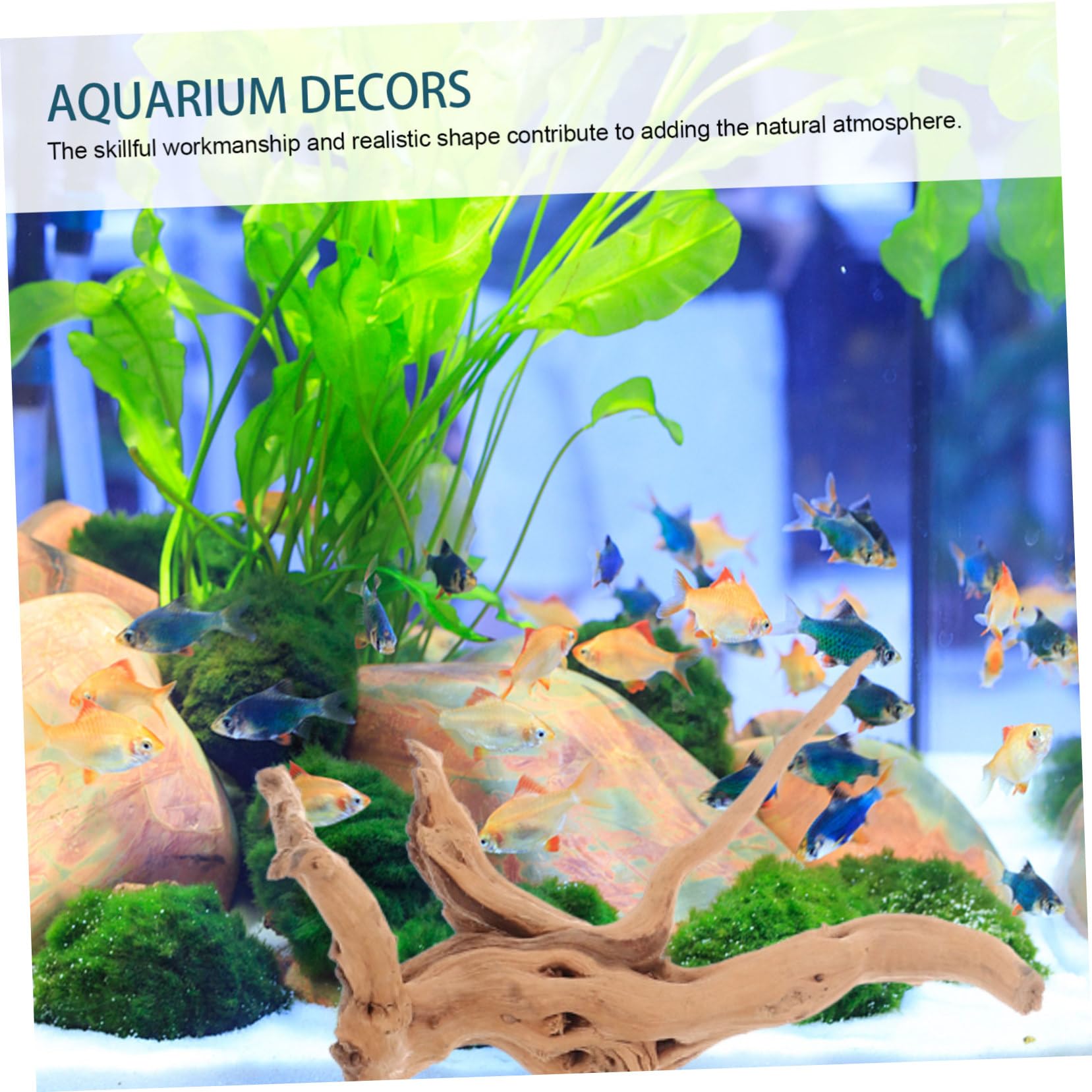 BESPORTBLE Fácil de Usar de Madera Flotante para Acuario 3 Piezas Forma Realista Varios Estilos Adecuado para Ambientación de Peceras y Paisajismo Natural