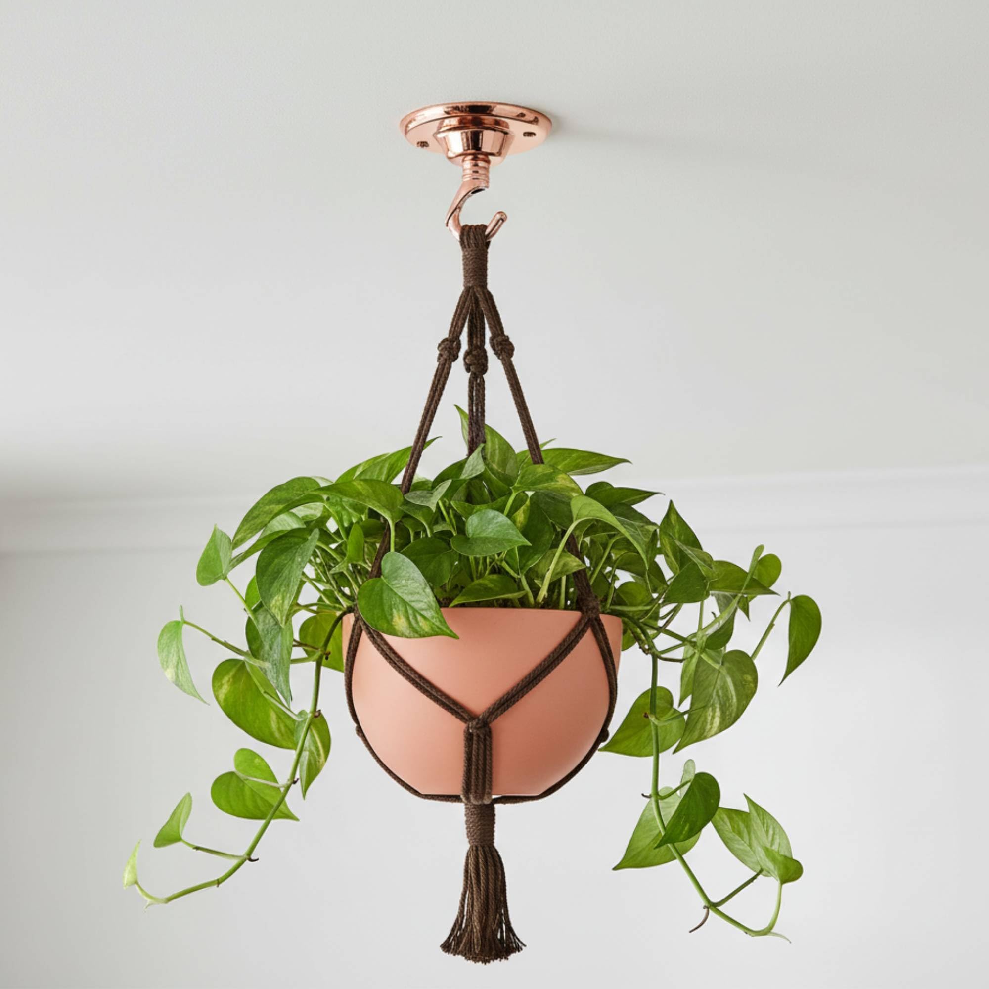 Gancio Da Soffitto Dorato In Ferro Battuto Mikikit – Con Filetto Interno 10 Mm – Per Lampadari, Lanterne E Piante - 4
