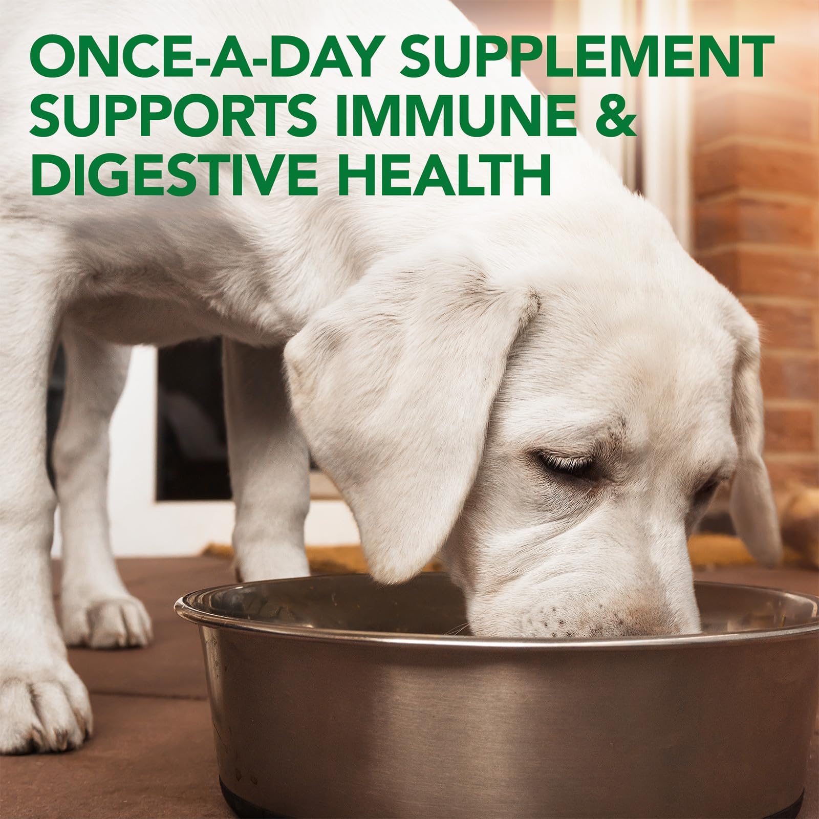 THE BRAMTON COMPANY Vet's Best Soft Chews-Probiotic