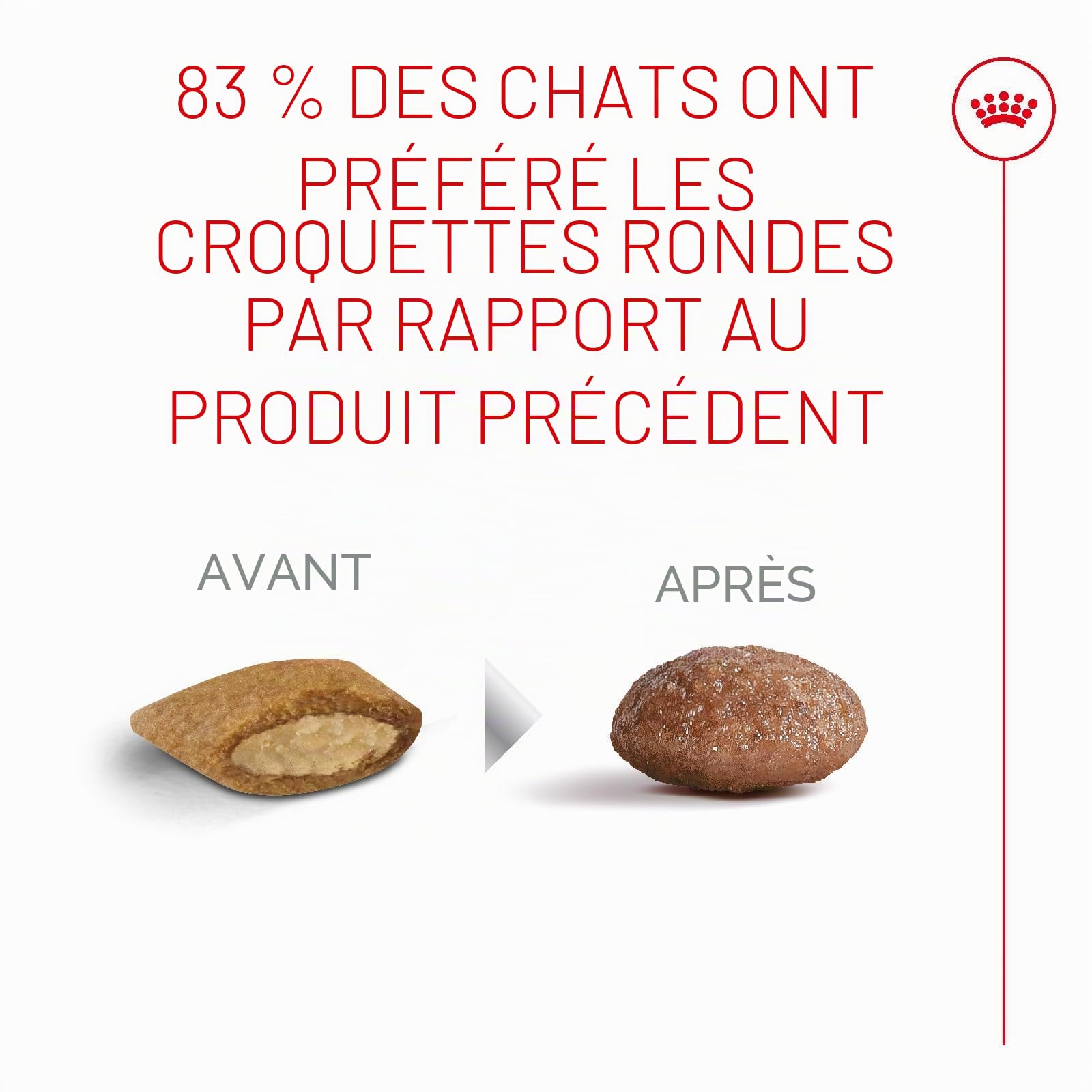 ROYAL CANIN AGEING 11+ | 2 kg | Croquettes pour Chats Seniors de Plus de 11 Ans | Formule avec Le Complexe HealthyAge7™ | Contient des croquettes faciles à mâcher