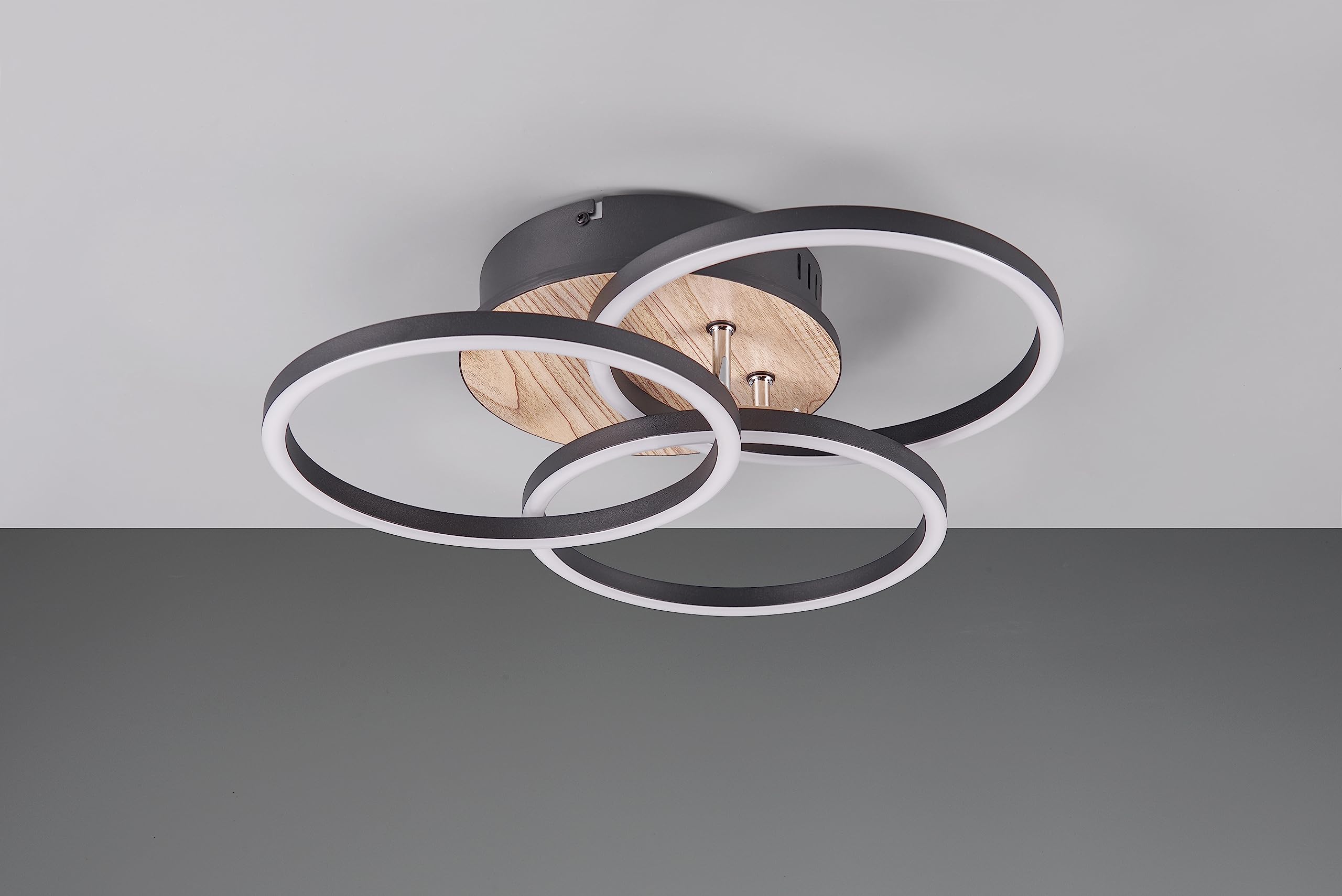 Reality, Lámpara de techo, Circle incl. 1xLED