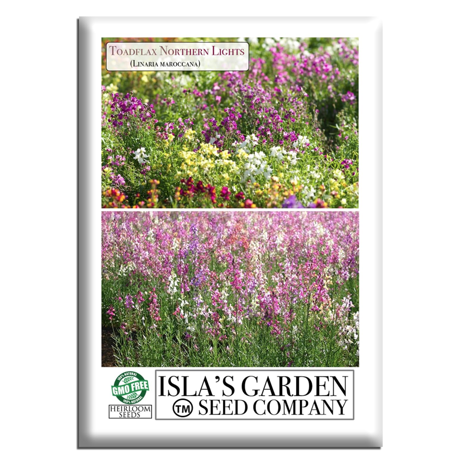 Amazon.com : Northern Lights Toadflax Flower Seeds (Linaria