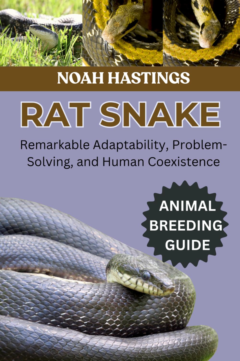 RAT SNAKE: Remarkable Adaptability, Problem-Solving, and Human Coexistence