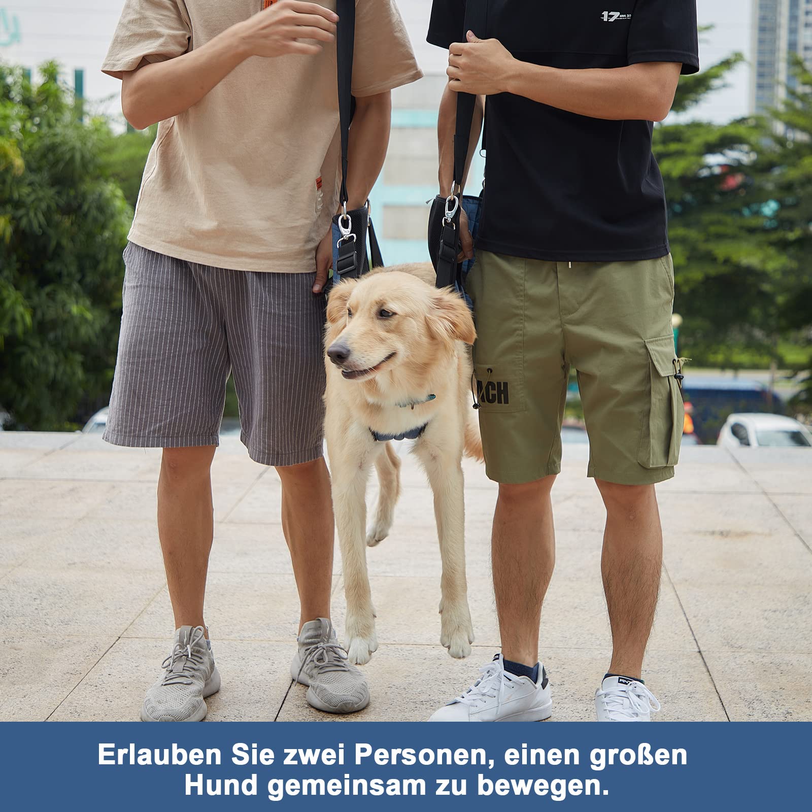 COODEO Hundetragegurt, Notfallrucksack Unterstützung für Rehabilitation Hundelift Geschirr, Hundeträger für ältere Hunde Gelenkverletzungen, Arthritis, Treppe hinauf (XL, Blau)