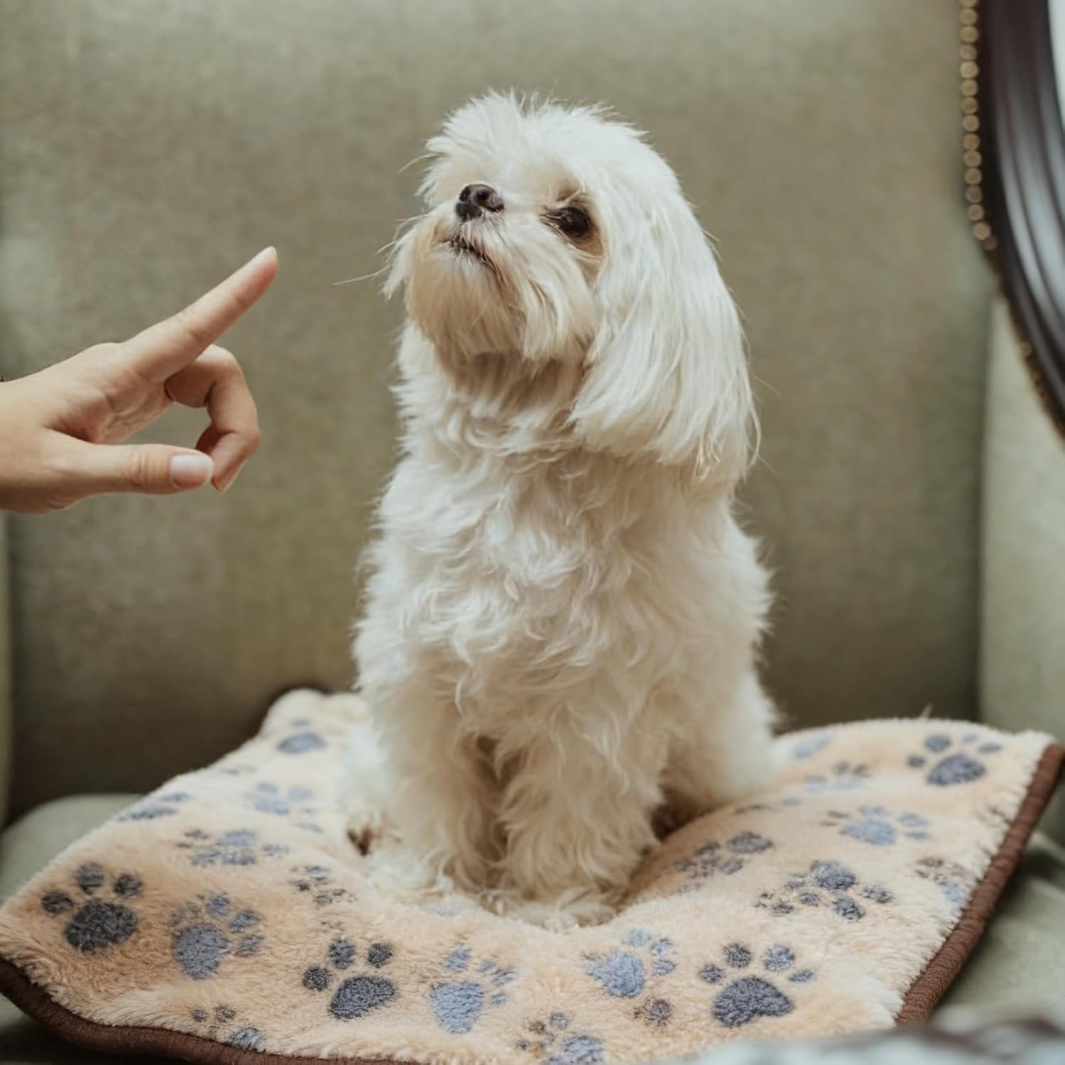 18 Pcs Dog Blankets for Small Dogs Washable Soft Fluffy Fleece Puppy Blankets for Pets Cute Paw Printed Throw for Indoor Cats Kitten Crate (Camel, White, Pink, Gray, Yellow, Dark Gray, 23 X 16 Inch) - Image 7