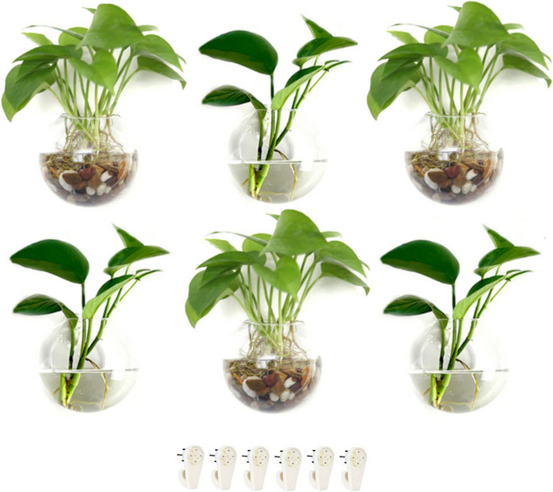 GEOLUX 6 Pack Terrarium Wall Hanging Glass Planters for Air Plants, Succulents, Herbs, Flowers Propogation Wall Hanging Planter Globes for Home Garden Office Décor Easily Mount to Wall
