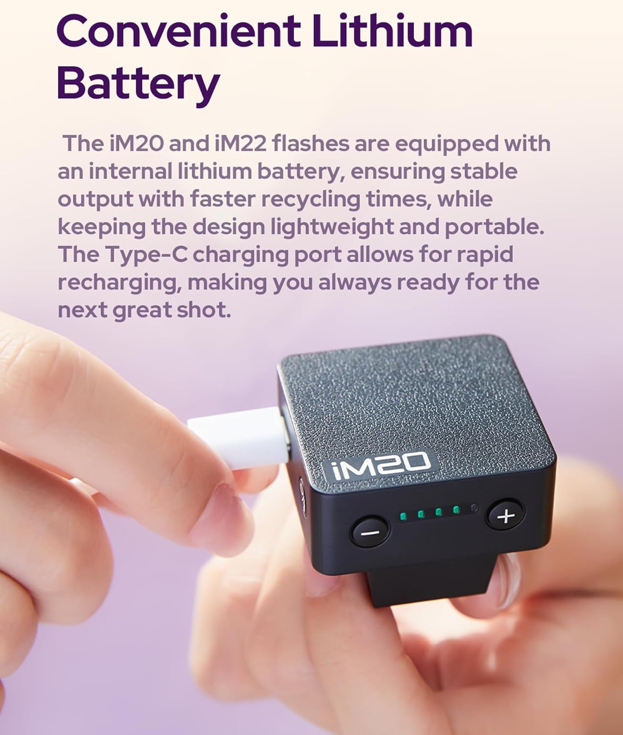 浜田マキ子「鳥井」大皿 浜田マキ子「鳥井」大皿 STANDARD BOOKSTORE