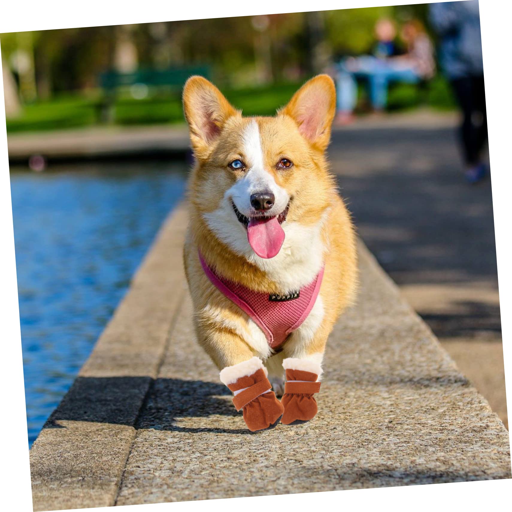 4piezas Botas De Perro Impermeables y Antideslizantes Calcetines para Mascotas Diseño Cálidas y Suaves para Invierno y Actividades Al Aire