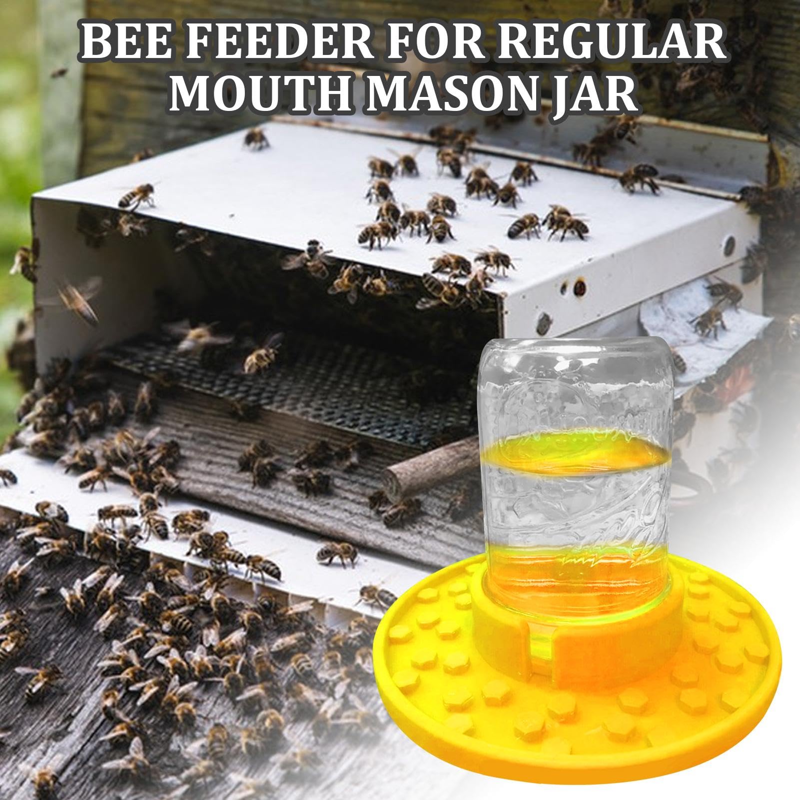 Abreuvoir à abeilles | Mangeoires pour ruches Mason Jar | Mangeoire d'entrée d'eau sucrée et abeille à miel, tasses à abeilles de jardin, mangeoire d'entrée efficace pour ruche, outil d'apiculteur