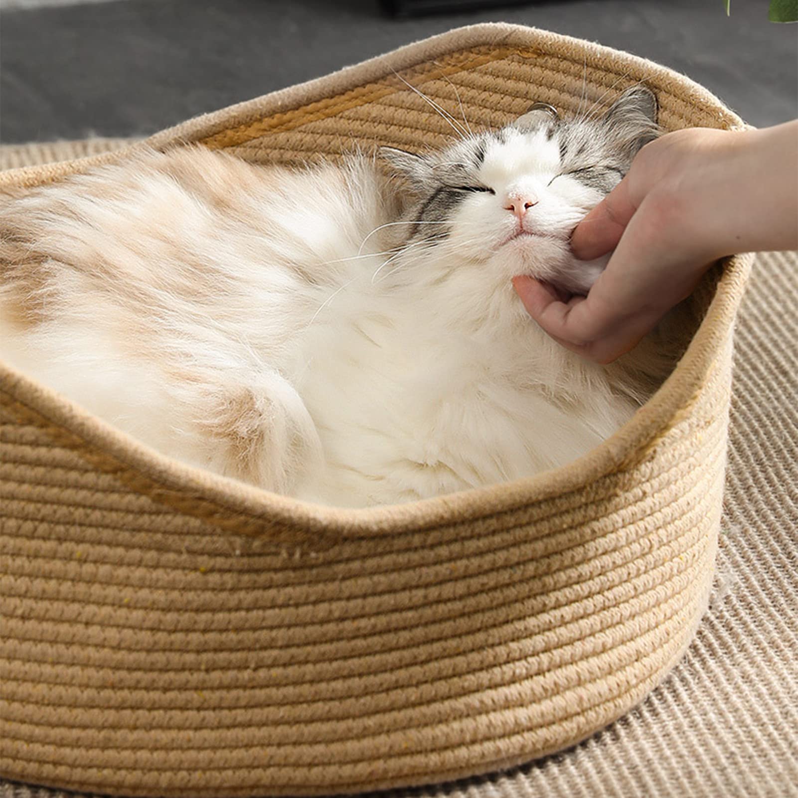Letto per Gatti in Vimini Intrecciato, Cesto Artigianale, Cuccia Confortevole per Interni, Nido per Gattini