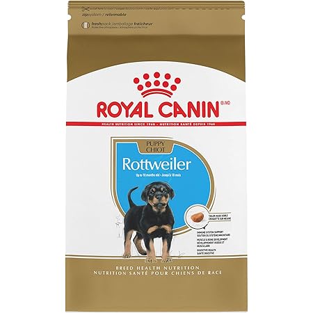 best shampoo for rottweilers