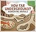 How Far Underground?: Burrowing Animals (Animals Measure Up)
