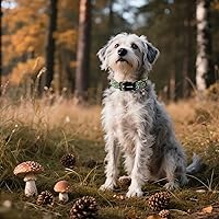 Vista 148 de DOGWONG Collar de perro de San Valentín, collar de perro con estampado de corazones para perros grandes, lindos collares de primavera, hembra