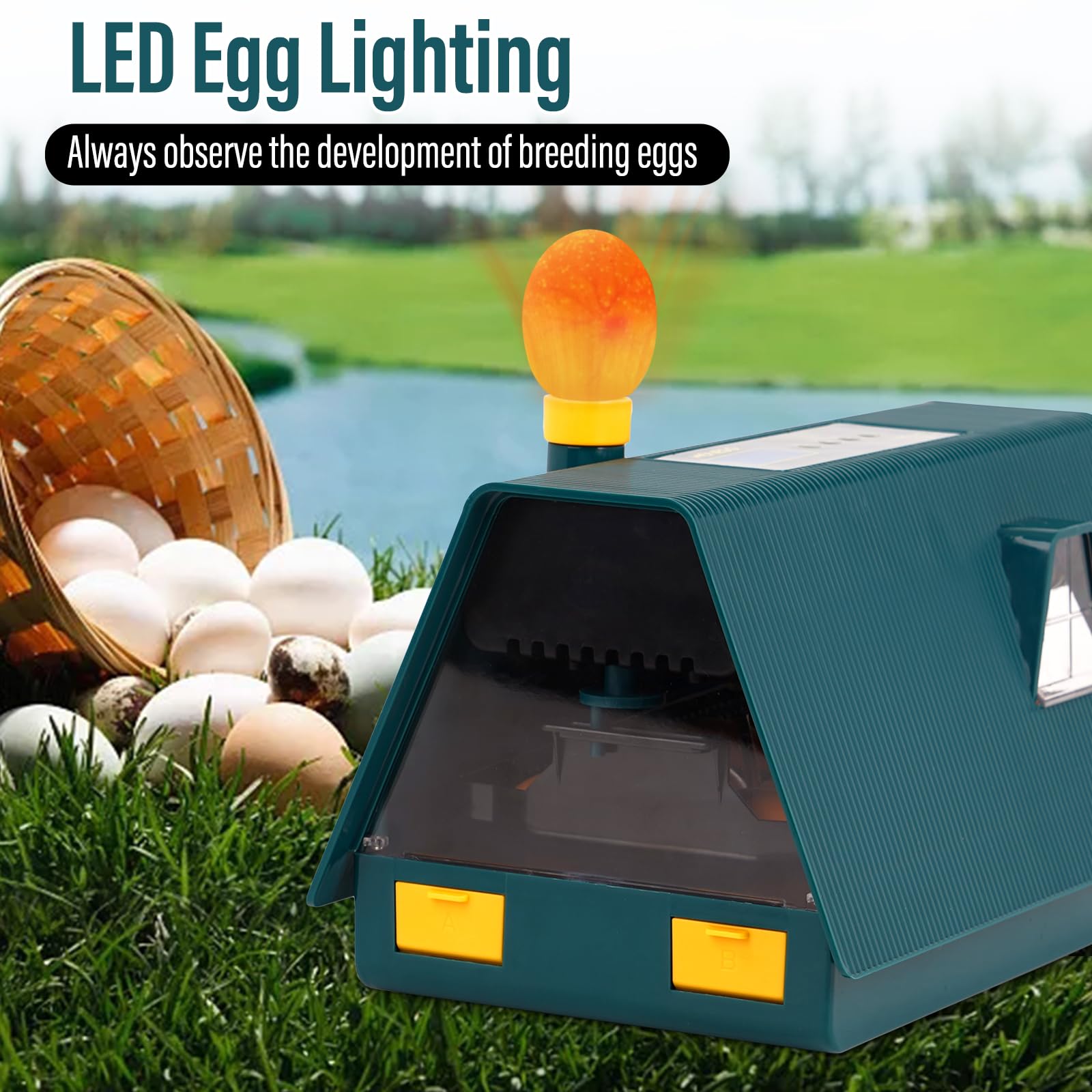 Incubadora Huevos Gallina Automatica, Incubadora Con Volteo AutomáTico de Huevos y Control de Temperatura y Humedad, Incubadora AvíCola con Pantalla LED Para Pollos, Patos, Gansos (10 Huevos)