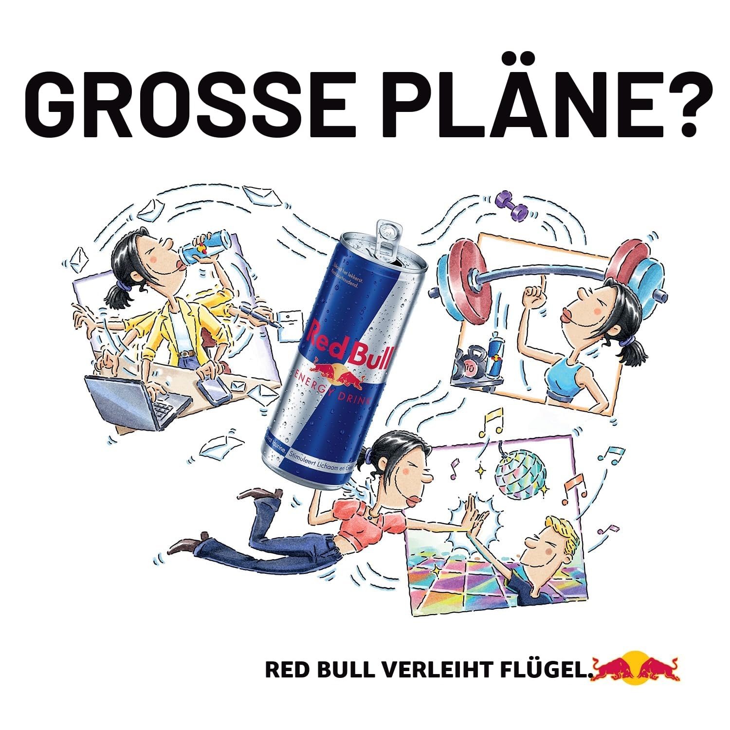 Red Bull | Winter Edition | Blik | 12 x 250 ml