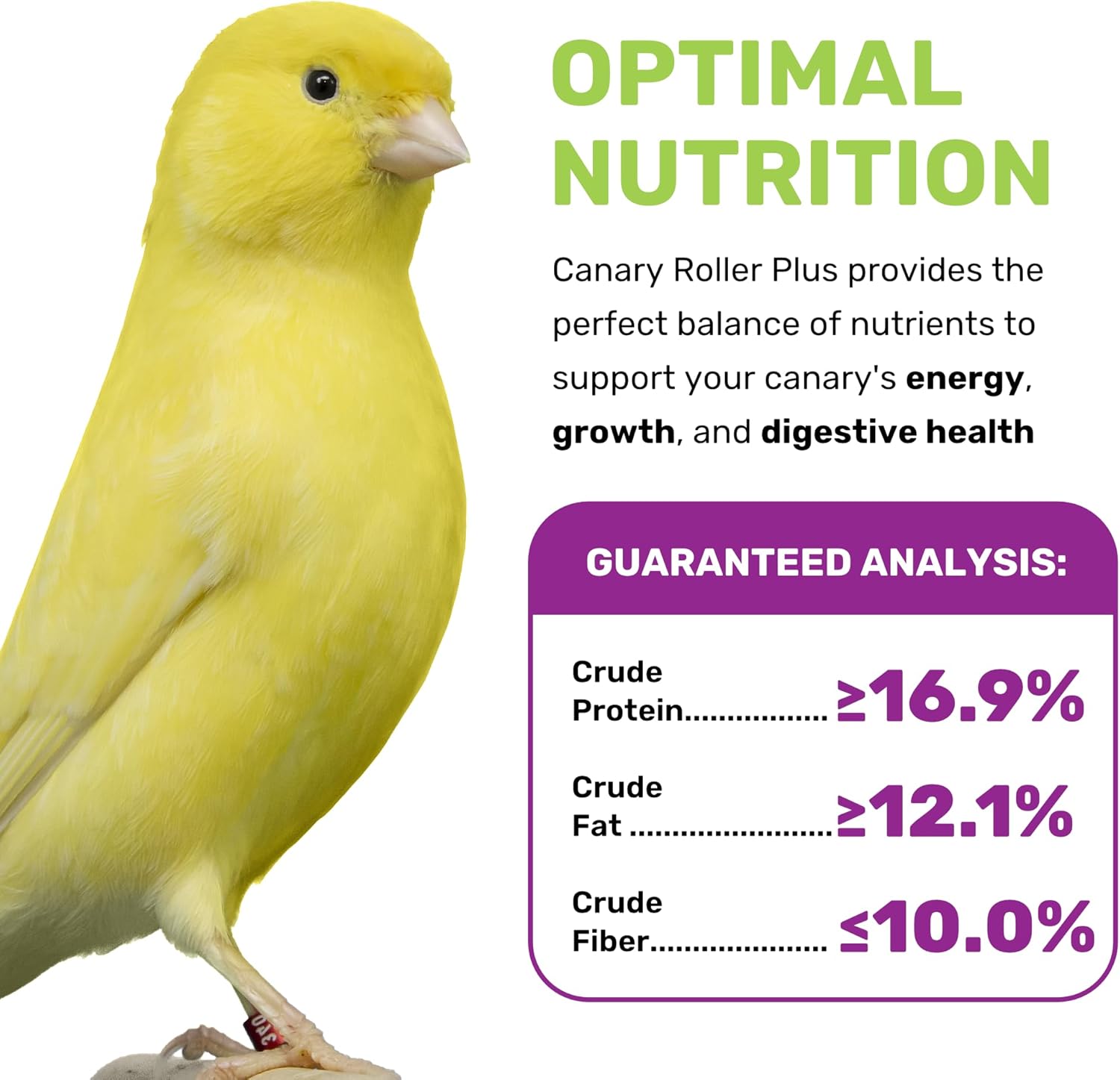 Canary Plus 5 Lbs, Premium Mixed Birdseed, Canary Bird Food with Essential Vitamins and Minerals, Healthy Balanced Nutrition, Supports Daily Energy & Growth, Bird Seed for Pet Birds