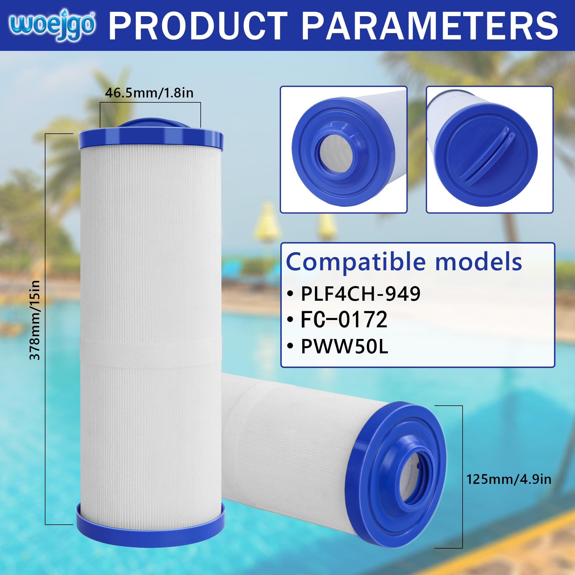 2 cartucce filtro spa per 4CH-949 | Cartuccia di ricambio per filtro piscina PWW50L, per PWW50L, 4CH-949, FC-0172, SD-01143,50 m² piedi