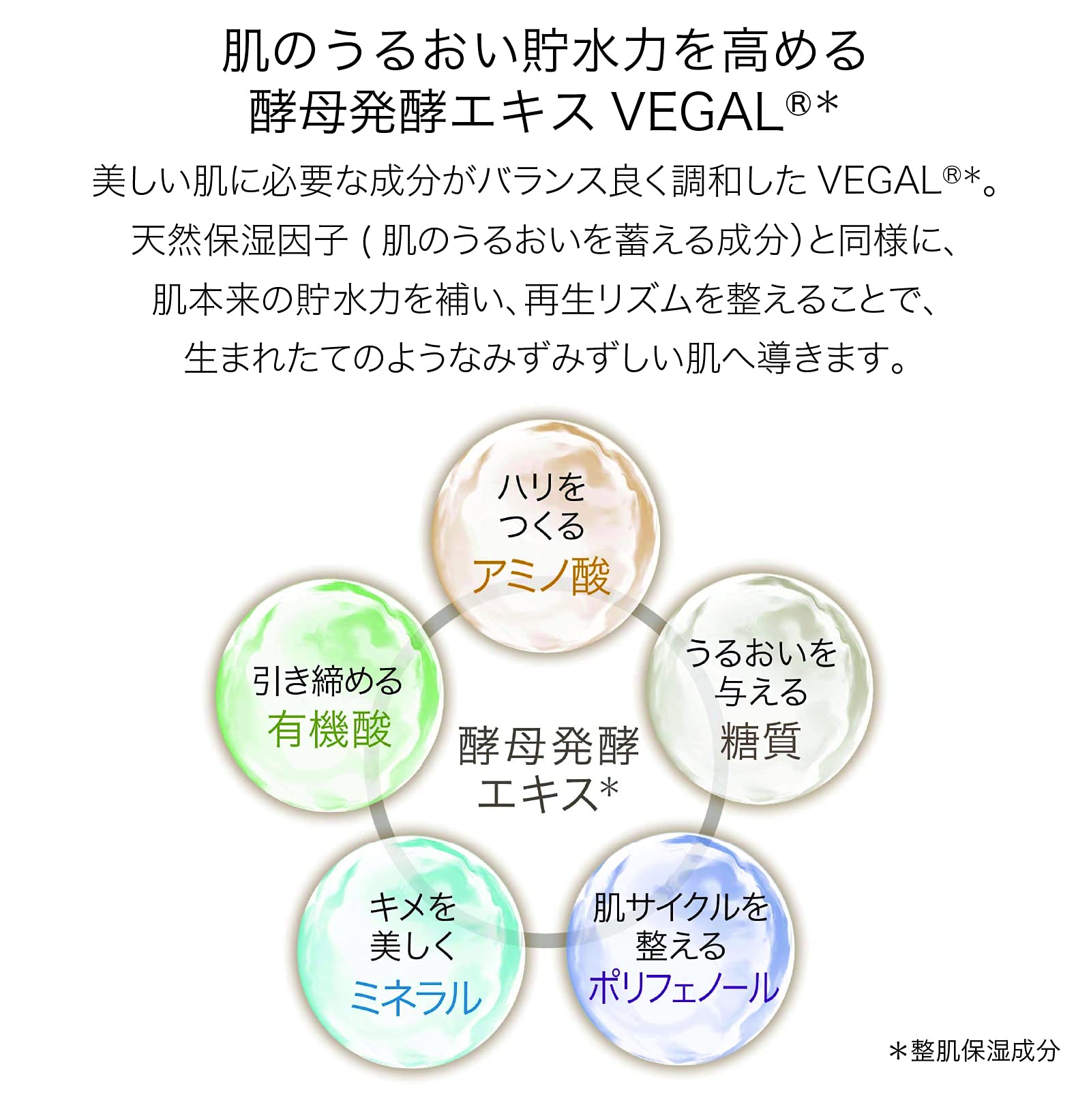 Amazon | 【 メゾンレクシア 公式 】 MAISON LEXIA ALCHEMY 