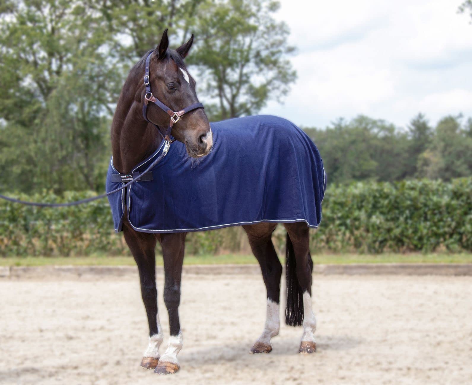 Coperta Per Cavalli HKM Reflection 165: Protezione Dal Freddo E Dall'umidità, Colore Blu Scuro, Ideale Per Scuderia