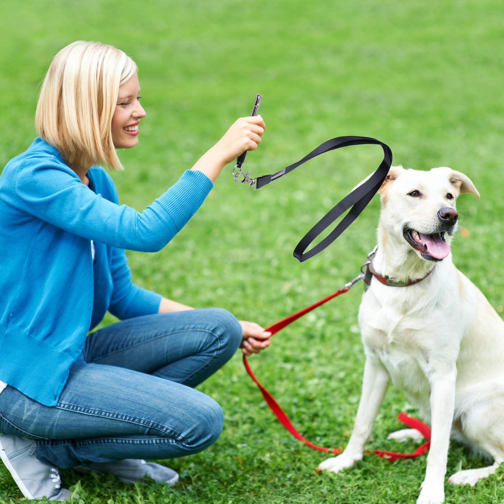 2 Pièces Sifflet Ultrason Chien,Anti Aboiement Collier Agression de Exterieur Fugue Sifflet Chiens Repulsif et Ultrasons Chat Grand Sifflets Femme,pour Pet Promenade Sauvetage Whistle Harnais