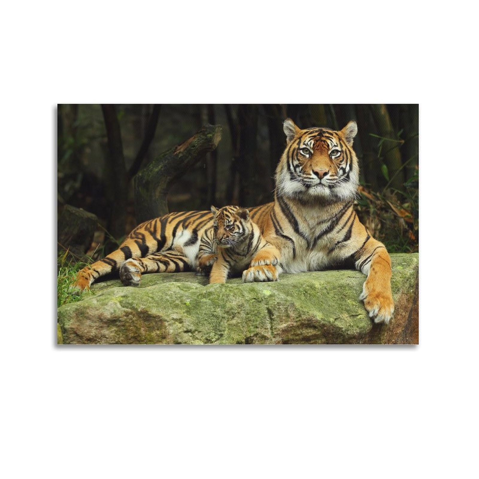 GTTHOK Animal Poster Tiger And Tiger Cub Decorative Painting Canvas Art Picture 20x30inch(50x75cm)
